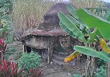 Concrete structure described by locals as a Japanese bunker