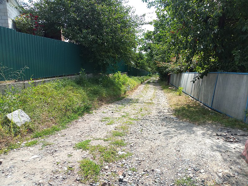 File:Karpinskoho street Zhmerynka 20190724.jpg