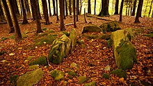 Killakee Wedge Tomb