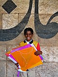 Thumbnail for File:Kite Runner at the Uttarayana Kite Festival Ahmedabad 3.jpg