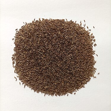 Whole seeds of Carum carvi