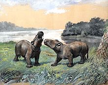 Largest prehistoric animals - Wikipedia