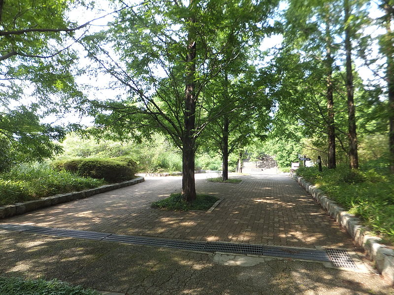 File:Kobe Municipal Arboretum in 2013-6-22 No,39.JPG