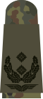 Oberst löjtnant (fältuniform)