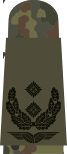 Oberstleutnant (flecktarn penyamaran tentera )