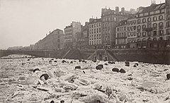 La Seine le 3 Janvier 1880 - Vue du quai Saint-Michel