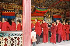 Tibeti buddhista szerzetesek