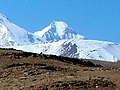 Vignette pour Langtang Ri