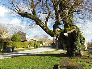 Habiter à Brousses-et-Villaret