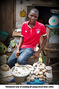 A young boy selling locust bean as soup/stew ingredients