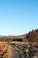 Looking towards the Caldons from Southern Upland Way in Galloway Forest Park - panoramio.jpg