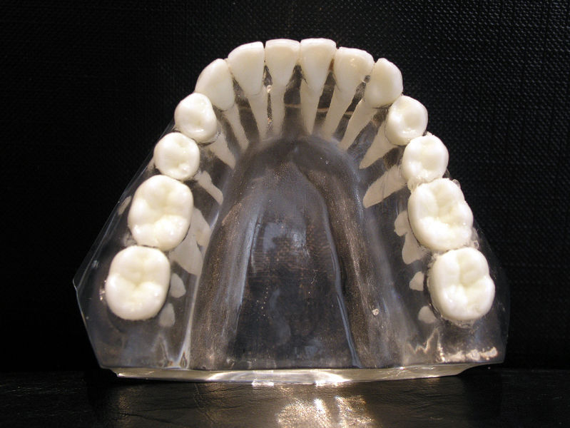 File:Lower jaw.jpg