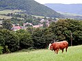 Ľutina, Slovakia