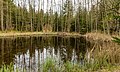 * Nomination Pond in the Schellenbergmoor --F. Riedelio 13:30, 17 May 2023 (UTC) * Promotion  Support Good quality. --Jakubhal 14:34, 17 May 2023 (UTC)