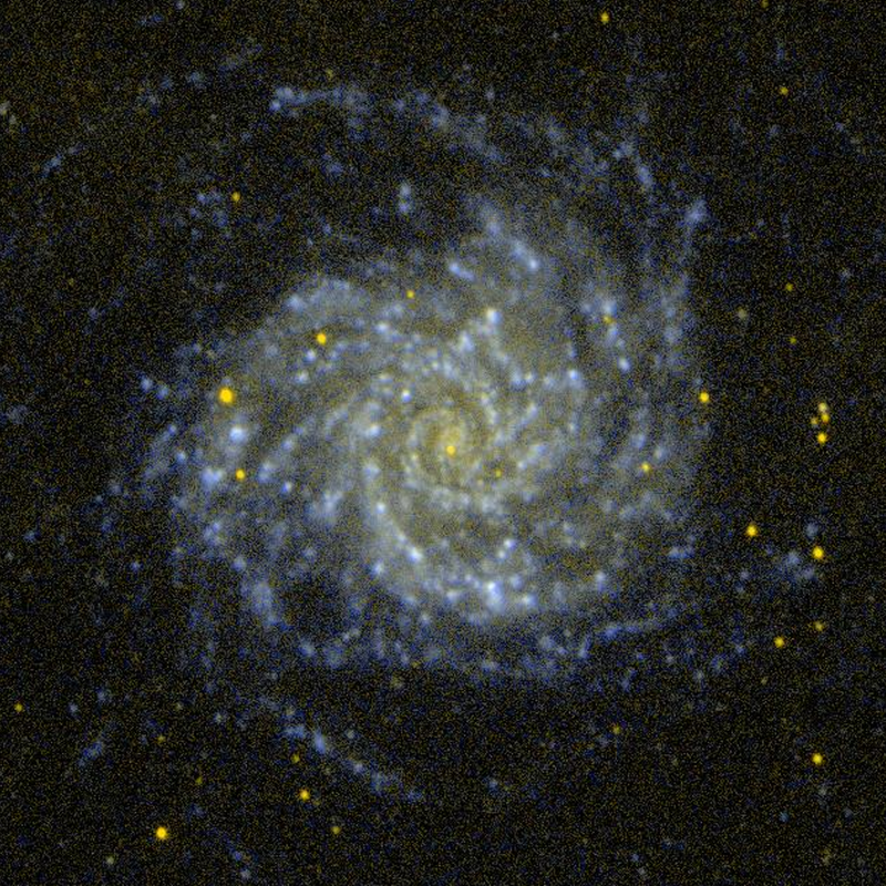 M74 (UV - GALEX)