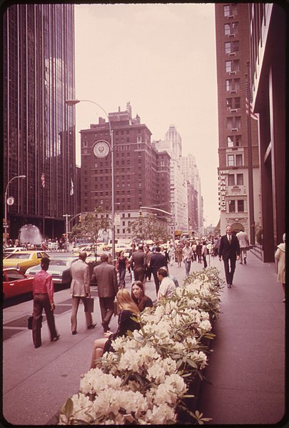 File:MINIATURE RHODODENDRONS BLOOM IN FRONT OF THE AMERICAN BROADCASTING BUILDING - NARA - 551665.jpg