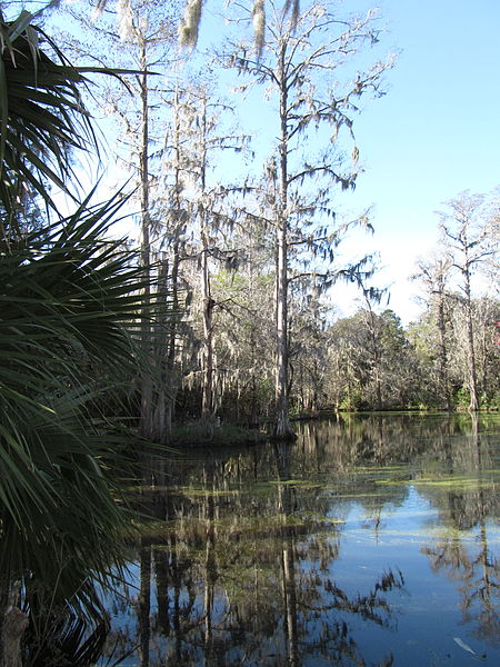 File:Magnolia Plantation and Gardens - Charleston, South Carolina (8556545446).jpg