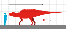 Size comparison with human Maiasaura Scale.svg
