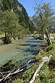 * Nomination Seebach stream in the Seebach Valley near Mallnitz, High Tauern National Park, Carinthia, Austria --Uoaei1 03:56, 25 April 2017 (UTC) * Promotion Good quality. Nice! --Moroder 04:00, 25 April 2017 (UTC)