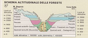 300px map flora and vegetation 1989   schema altitudinale delle foreste   touring club italiano cart tem 028 %28cropped%29