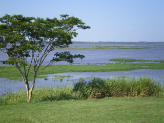 <span class="mw-page-title-main">Mbaracayú Forest Nature Reserve</span>