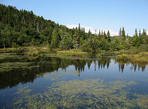 300px-Marais_du_Nord.jpg