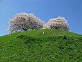 2010年6月9日 (水) 20:02時点における版のサムネイル