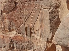 Saharan rock art in the Fezzan, Libya Mathendous giraffes.jpg