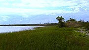 Thumbnail for Meaher State Park