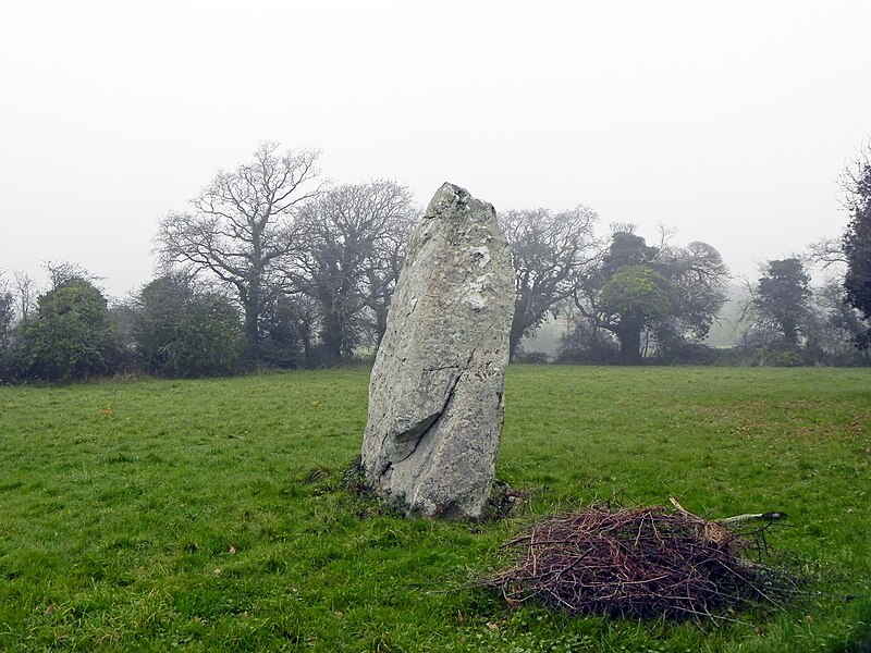 File:Menhir du Boivre, Saint-Brévin-les-Pins - Side View 04.JPG