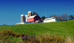 Midday Washington Township, Wyoming County.jpg