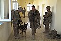 Military working dog helps protect service members 131001-Z-MH103-001.jpg