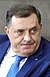 Milorad Dodik (2019-01-17) (cropped).jpg