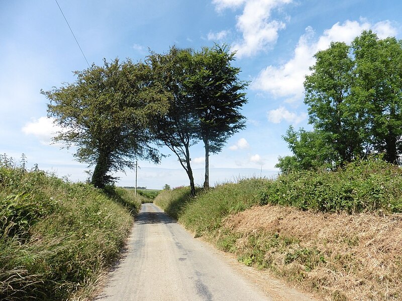 File:Minor road to Thornpark Cross - geograph.org.uk - 6207763.jpg