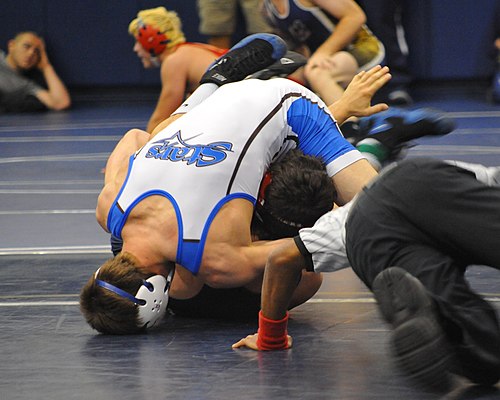 A fall, also known as a pin, occurs when any part of both shoulders or both scapulae (shoulder blades) of the defensive wrestler is held in continuous contact with the mat for a specified amount of time (in collegiate wrestling for one second).