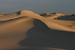 Vignette pour Parc d'État de Monahans Sandhills