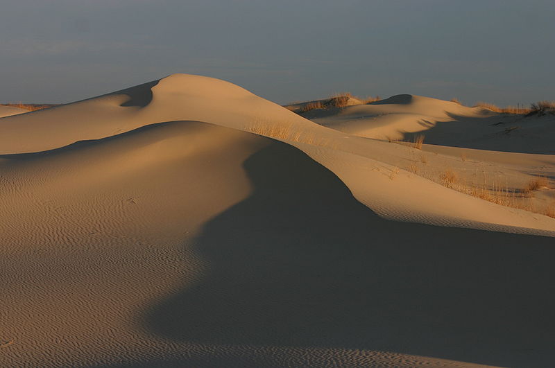 File:Monahans Sandhills at Sunrise.jpg