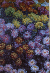 Chrysanthemums Monet - Wildenstein 1996, 1497.png