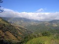 Bufo periglenes former habitat: The Monteverde Cloud Forest Preserve