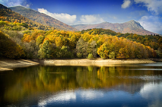 Nature park of Montseny, by Mikipons