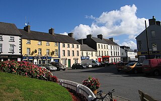 <span class="mw-page-title-main">Mountrath</span> Town in County Laois, Ireland