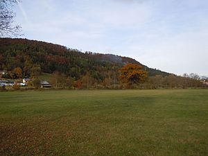 Neckar-dal hældning sydvest for Horb