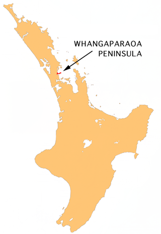 <span class="mw-page-title-main">Whangaparaoa Peninsula</span> Suburban area in Auckland Council, Auckland, New Zealand