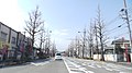 Namikicho, Hachioji, Tokyo 193-0831, Japan - panoramio (7).jpg