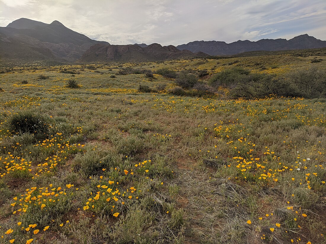 Castner Range National Monument