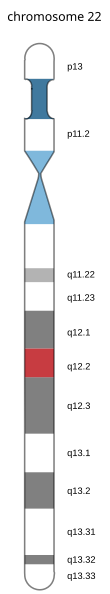 File:Neurofibromatosis2-locus.svg