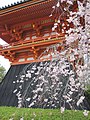 Ninna-ji National Treasure World heritage Kyoto 国宝・世界遺産 仁和寺 京都26.JPG