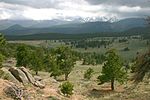 Thumbnail for Rocky Mountain ponderosa pine forest