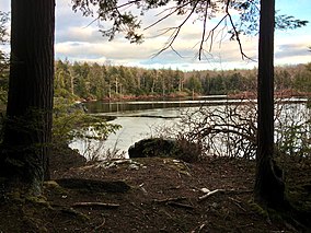 Old Man McMullen Pond in Great Mountain Forest.jpg