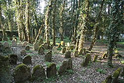 Židovský hřbitov v Písečném